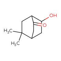 C10H16O2