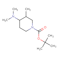 Chemical structure of tert-butyl 4-(dimethylamino)-3-methylpiperidine-1-carboxylate - CSSB00010022927