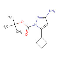 Chemical structure of tert-butyl 3-amino-5-cyclobutyl-1H-pyrazole-1-carboxylate - CSSB00135511858