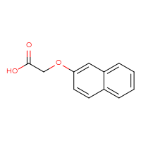 Chemical structure of 2-(naphthalen-2-yloxy)acetic acid - CSSB00000185456