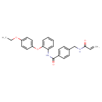 Chemical structure of N-[2-(4-ethoxyphenoxy)phenyl]-4-[(prop-2-enamido)methyl]benzamide - CSSB00026899876