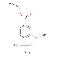 Chemical structure of ethyl 4-tert-butyl-3-methoxybenzoate - CSSB06590372801