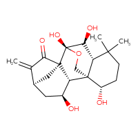Chemical structure of (1S,2S,3S,5S,8S,9R,10S,11R,15S)-3,9,10,15-tetrahydroxy-12,12-dimethyl-6-methylidene-17-oxapentacyclo[7.6.2.1⁵,⁸.0¹,¹¹.0²,⁸]octadecan-7-one - CSSB00137410202