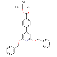 Chemical structure of tert-butyl 4-[2,6-bis(benzyloxy)pyridin-4-yl]benzoate - CSSB21322982670
