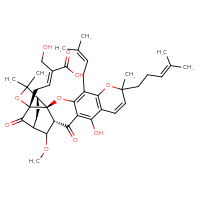 Chemical structure of (2E)-4-[(1S,2S,15R,19R)-12-hydroxy-16-methoxy-8,21,21-trimethyl-5-(3-methylbut-2-en-1-yl)-8-(4-methylpent-3-en-1-yl)-14,18-dioxo-3,7,20-trioxahexacyclo[15.4.1.0²,¹⁵.0²,¹⁹.0⁴,¹³.0⁶,¹¹]docosa-4,6(11),9,12-tetraen-19-yl]-2-(hydroxymethyl)but-2-enoic acid - CSSB14945382378