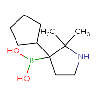 C11H22BNO2