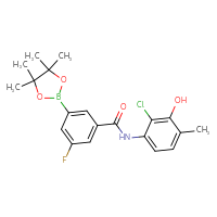 Chemical structure of N-(2-chloro-3-hydroxy-4-methylphenyl)-3-fluoro-5-(4,4,5,5-tetramethyl-1,3,2-dioxaborolan-2-yl)benzamide - CSSB21531607540