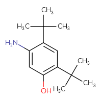 Chemical structure of 5-amino-2,4-di-tert-butylphenol - CSSB00010234508