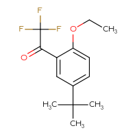 Chemical structure of 1-(5-tert-butyl-2-ethoxyphenyl)-2,2,2-trifluoroethan-1-one - CSSB00134214185