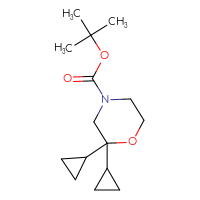 Chemical structure of tert-butyl 2,2-dicyclopropylmorpholine-4-carboxylate - CSSB00113825482