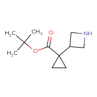 C11H19NO2
