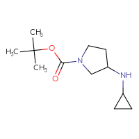 Chemical structure of tert-butyl 3-(cyclopropylamino)pyrrolidine-1-carboxylate - CSSB00000690722