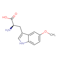 Chemical structure of (2R)-2-amino-3-(5-methoxy-1H-indol-3-yl)propanoic acid - CSSB00016989784