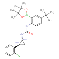 Chemical structure of rac-1-[4-tert-butyl-2-(4,4,5,5-tetramethyl-1,3,2-dioxaborolan-2-yl)phenyl]-3-[(1R,2S)-2-(2-chlorophenyl)cyclopropyl]urea - CSSB21332056428