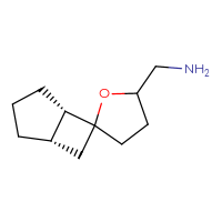 C11H19NO