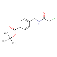 Chemical structure of tert-butyl 4-[(2-chloroacetamido)methyl]benzoate - CSSB02018215191