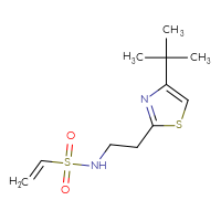 Chemical structure of N-[2-(4-tert-butyl-1,3-thiazol-2-yl)ethyl]ethene-1-sulfonamide - CSSB21332081826