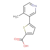 Chemical structure of 5-(4-methylpyridin-3-yl)thiophene-2-carboxylic acid - CSSB00012451576