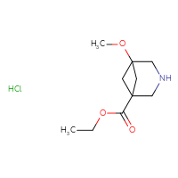 Chemical structure of ethyl 5-methoxy-3-azabicyclo[3.1.1]heptane-1-carboxylate hydrochloride - CSSB21043417971