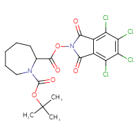 Chemical structure of 1-tert-butyl 2-(4,5,6,7-tetrachloro-1,3-dioxo-2,3-dihydro-1H-isoindol-2-yl) azepane-1,2-dicarboxylate - CSSB20270179523