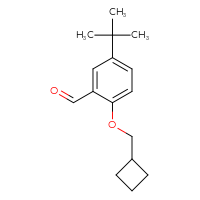 Chemical structure of 5-tert-butyl-2-(cyclobutylmethoxy)benzaldehyde - CSSB20460379321