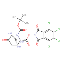 Chemical structure of rac-2-tert-butyl 3-(4,5,6,7-tetrachloro-1,3-dioxo-2,3-dihydro-1H-isoindol-2-yl) (1R,3R,4S)-6-oxo-2-azabicyclo[2.2.1]heptane-2,3-dicarboxylate - CSSB20271238524