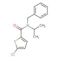 Chemical structure of N-benzyl-5-chloro-N-(propan-2-yl)thiophene-2-carboxamide - CSSB00104241749