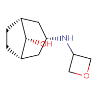 C11H19NO2