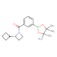 Chemical structure of (2R)-2-cyclobutyl-1-[3-(4,4,5,5-tetramethyl-1,3,2-dioxaborolan-2-yl)benzoyl]azetidine - CSSB20809158062