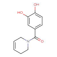 Chemical structure of 4-(1,2,3,6-tetrahydropyridine-1-carbonyl)benzene-1,2-diol - CSSB00006574061