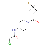 Chemical structure of 2-chloro-N-[1-(3,3-difluorocyclobutanecarbonyl)piperidin-4-yl]acetamide - CSSB21332081024