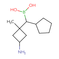 C11H22BNO2
