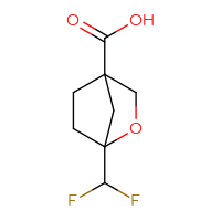 Chemical structure of 1-(difluoromethyl)-2-oxabicyclo[2.2.1]heptane-4-carboxylic acid - CSSB09889946645