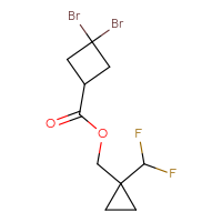 C10H12Br2F2O2