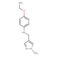 Chemical structure of 4-ethoxy-N-[(1-methyl-1H-pyrazol-4-yl)methyl]aniline - CSSB00000498969