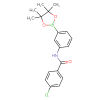 Chemical structure of 4-chloro-N-[3-(4,4,5,5-tetramethyl-1,3,2-dioxaborolan-2-yl)phenyl]benzamide - CSSB00019404527