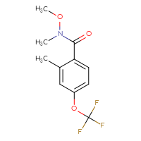 Chemical structure of N-methoxy-N,2-dimethyl-4-(trifluoromethoxy)benzamide - CSSB03499551509