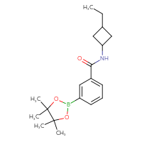 Chemical structure of N-(3-ethylcyclobutyl)-3-(4,4,5,5-tetramethyl-1,3,2-dioxaborolan-2-yl)benzamide - CSSB02195989493