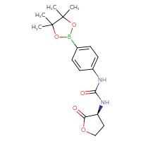 Chemical structure of 3-[(3S)-2-oxooxolan-3-yl]-1-[4-(4,4,5,5-tetramethyl-1,3,2-dioxaborolan-2-yl)phenyl]urea - CSSB21245997734