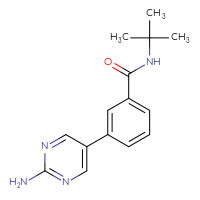 Chemical structure of 3-(2-aminopyrimidin-5-yl)-N-tert-butylbenzamide - CSSB10066038386