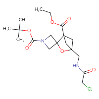 Chemical structure of 1-tert-butyl 1'-ethyl 4'-[(2-chloroacetamido)methyl]-3'-oxaspiro[azetidine-3,2'-bicyclo[2.1.1]hexane]-1,1'-dicarboxylate - CSSB02455198660