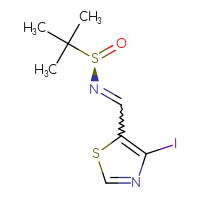 Chemical structure of (R)-N-[(4-iodo-1,3-thiazol-5-yl)methylidene]-2-methylpropane-2-sulfinamide - CSSB18549011899