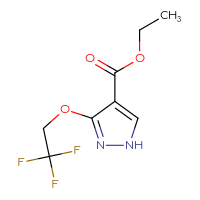 Chemical structure of ethyl 3-(2,2,2-trifluoroethoxy)-1H-pyrazole-4-carboxylate - CSSB01978212834
