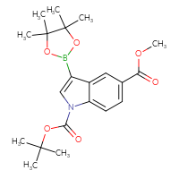 Chemical structure of 1-tert-butyl 5-methyl 3-(4,4,5,5-tetramethyl-1,3,2-dioxaborolan-2-yl)-1H-indole-1,5-dicarboxylate - CSSB00025711732