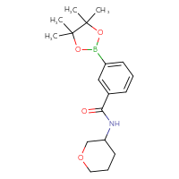 Chemical structure of N-(oxan-3-yl)-3-(4,4,5,5-tetramethyl-1,3,2-dioxaborolan-2-yl)benzamide - CSSB02195989208