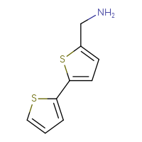 Chemical structure of 1-{[2,2'-bithiophen]-5-yl}methanamine - CSSB00011219308