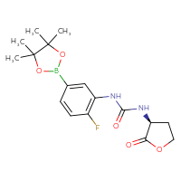 Chemical structure of 1-[2-fluoro-5-(4,4,5,5-tetramethyl-1,3,2-dioxaborolan-2-yl)phenyl]-3-[(3S)-2-oxooxolan-3-yl]urea - CSSB21245996637