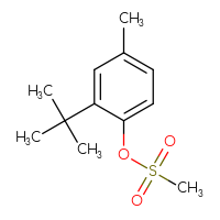 Chemical structure of 2-tert-butyl-4-methylphenyl methanesulfonate - CSSB00010998758