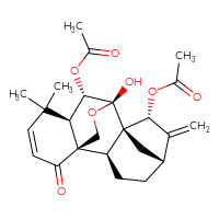Chemical structure of (1S,2S,5R,7R,8S,9S,10S,11R)-10-(acetyloxy)-9-hydroxy-12,12-dimethyl-6-methylidene-15-oxo-17-oxapentacyclo[7.6.2.1⁵,⁸.0¹,¹¹.0²,⁸]octadec-13-en-7-yl acetate - CSSB06629245696