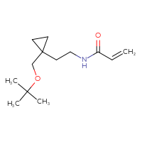 Chemical structure of N-(2-{1-[(tert-butoxy)methyl]cyclopropyl}ethyl)prop-2-enamide - CSMB21332165874